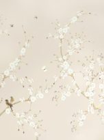 Bird Song eee0d0c4030cdb743c39_thumb_0d7e8210d33e9c75c99b3d1815ef519e