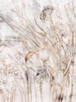 iRYSY 79f0bf4ffd61a4d3ecd3_thumb_ebc95866ff49078270e0e7a4cf7a116c