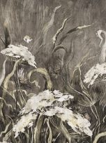 Slumber of the Field Herbs1