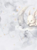 Midnight,Sky.,Watercolour,Backgrounds.,Sleep,Bunny,In,Moon.,Cute,Bunny.